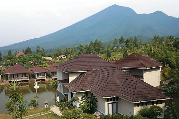 Natural dengan Suasana...
