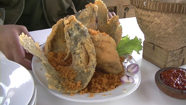 Sensasi Gurih Gurami...