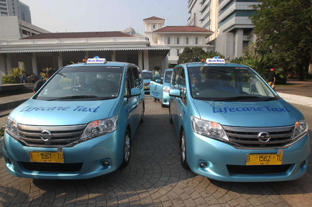 Blue Bird Raup Dana...