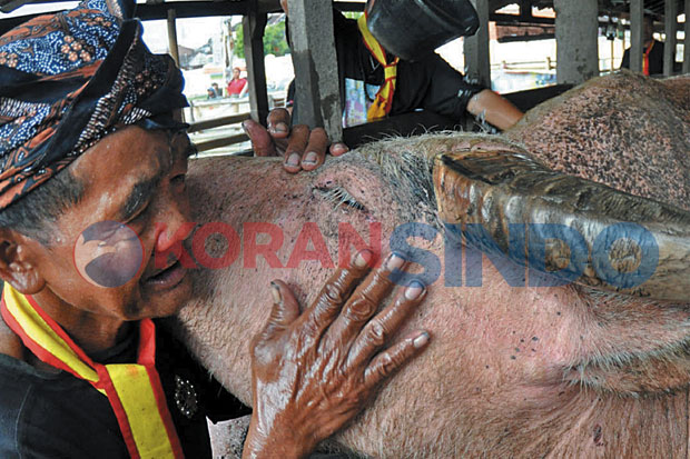 Dua Pekan Kritis Ditombak,...