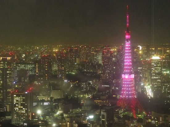 Menikmati Tokyo dari...