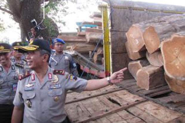 Peredaran Kayu Ilegal...