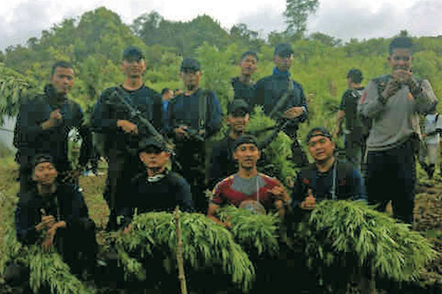 10 Ha Ladang Ganja Ditemukan...