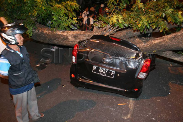 Parkir di Jalan, Xenia...