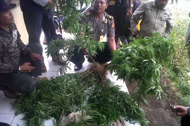 Polisi dan TNI Sisir...