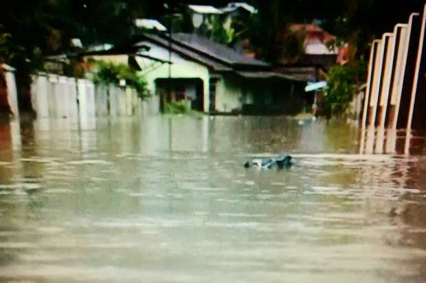 Banjir Terjang Pasaman,...