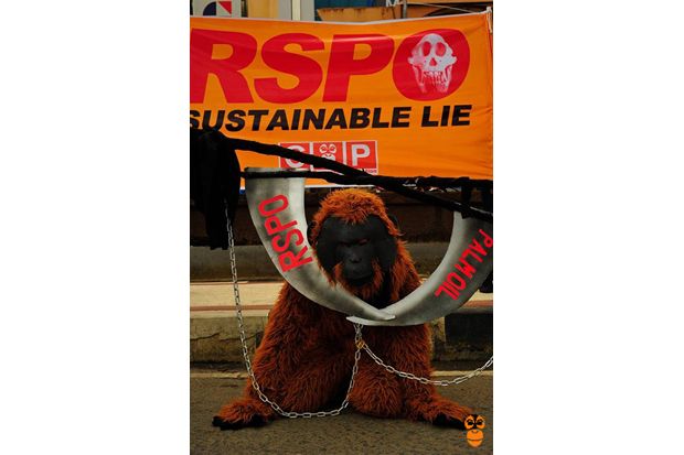 Kawasan Konservasi Orangutan...