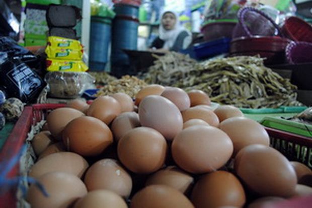 BBM Naik, Harga Telur...