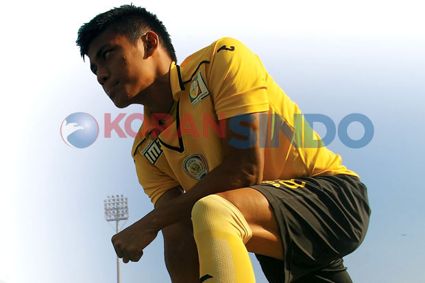 Maksimalkan Aset domestic