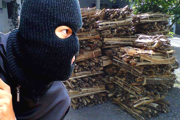 Pencuri Kayu Bakar Didenda...