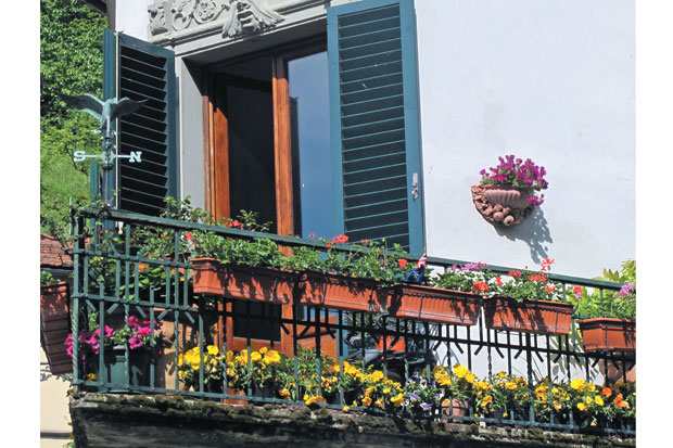 Berkebun di Balkon