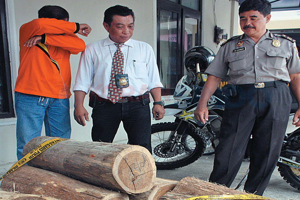Polisi Ciduk Pembalak...