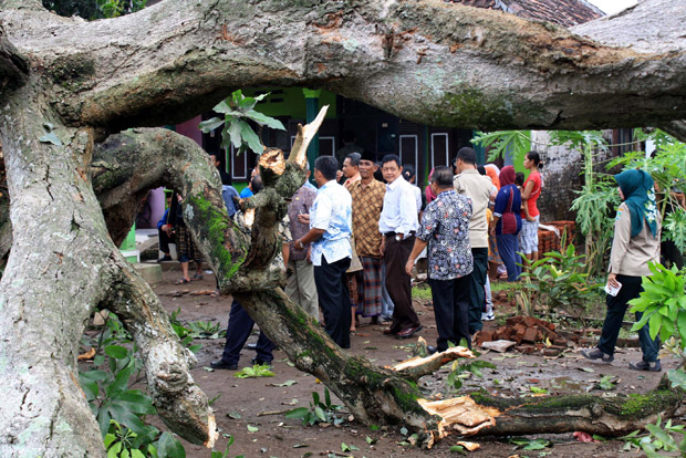 Hujan Angin, 18 Pohon...