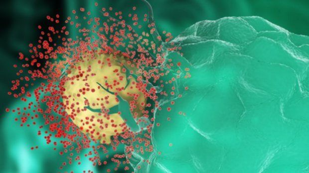 HIV Berevolusi Menjadi...
