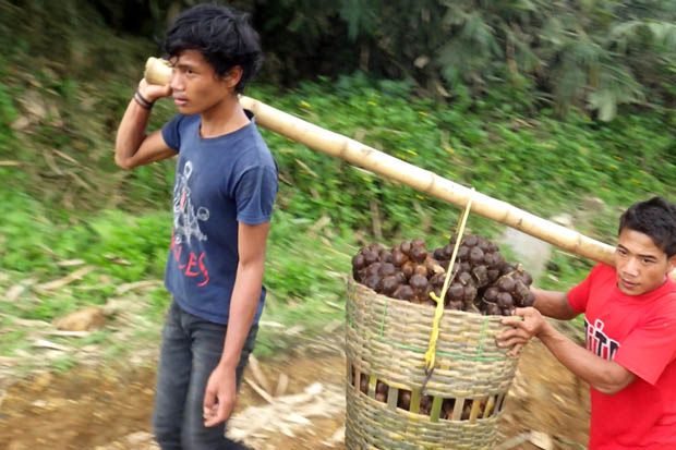 Jalan Ambles di Banjarnegara...