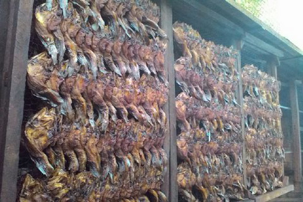Pemuda Ini Raup Rp40...