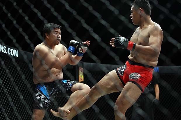 Mixed Martial Arts Indonesia...
