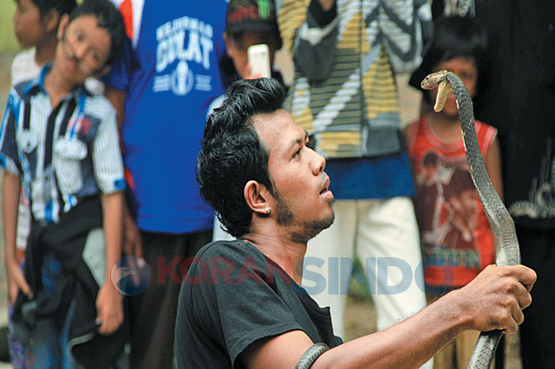 Tarik Pengunjung, Bonbin...