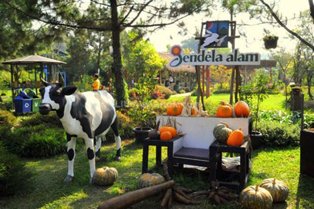 Enam Tempat Wisata Anak...