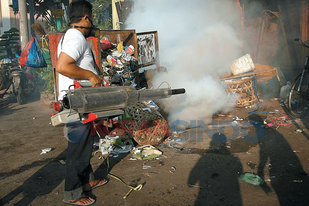 Nyamuk Mulai Mewabah
