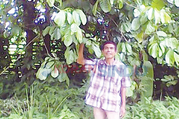 Panen Duku Kembali Gagal