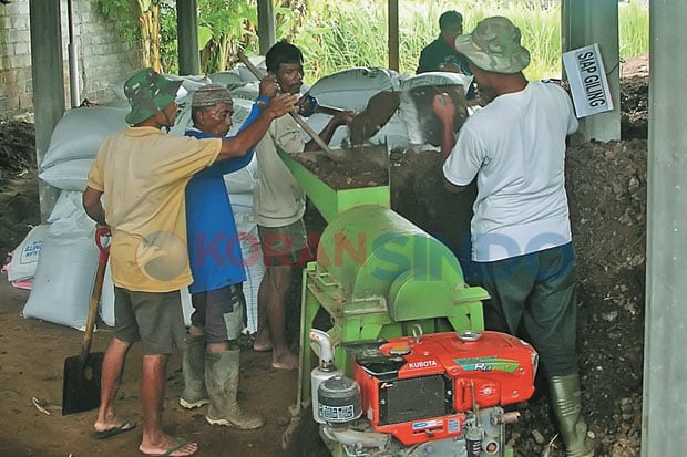 Olah Kotoran Sapi Jadi...