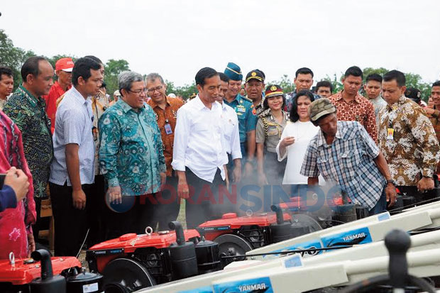 2015, Produksi Beras...