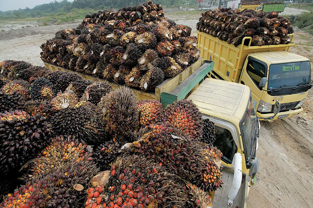 Bidik Posisi Perusahaan...