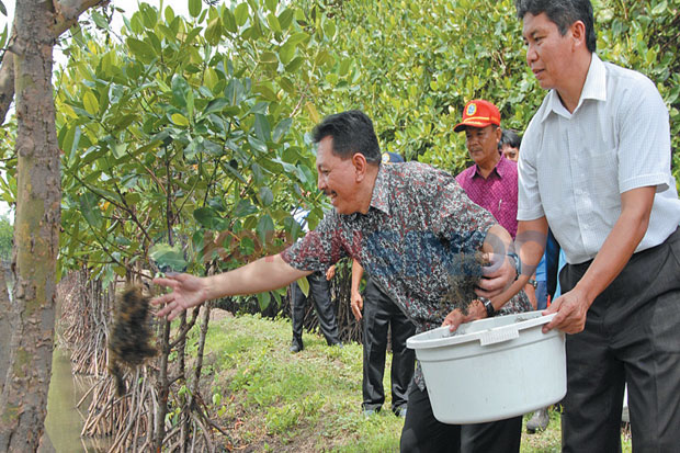 KKP Kembangkan Pusat...