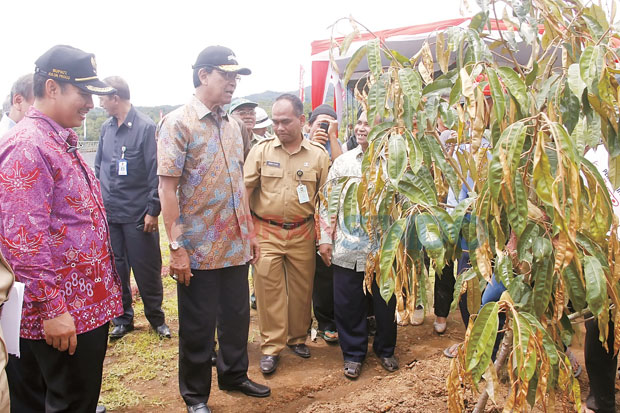 Sultan Canangkan Pengembangan...