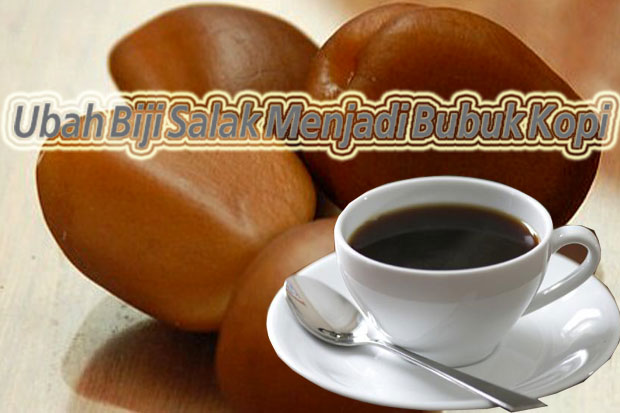 Ubah Biji Salak Menjadi...