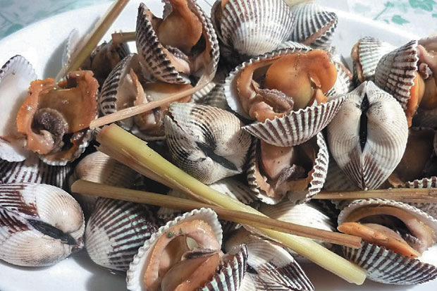 Kerang Berisiko Musnah