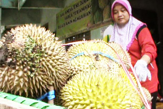 Wisata ke Kampung Durian...
