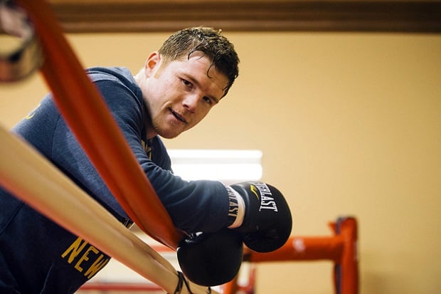 Canelo Beri Penawaran...