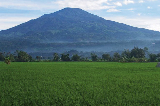 Tahun Berganti di Puncak...