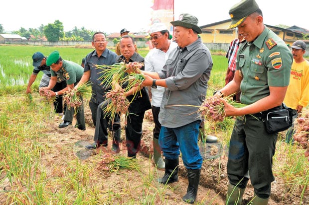 Kodim 0204/DS Berhasil...