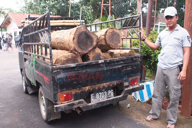 Dua Pencuri Kayu Perhutani...