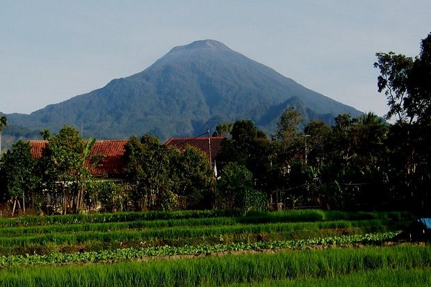 Jalur Pendakian Gunung...