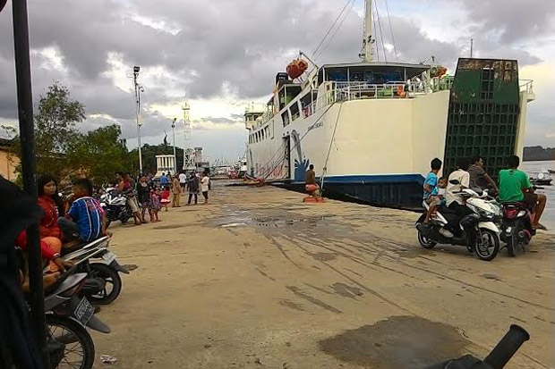 Penasaran Lihat Ekor...