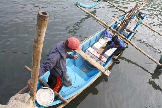 Ribuan Nelayan Tegal...