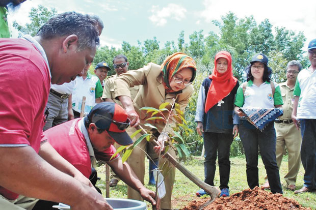 Kebun Buah Mangunan...