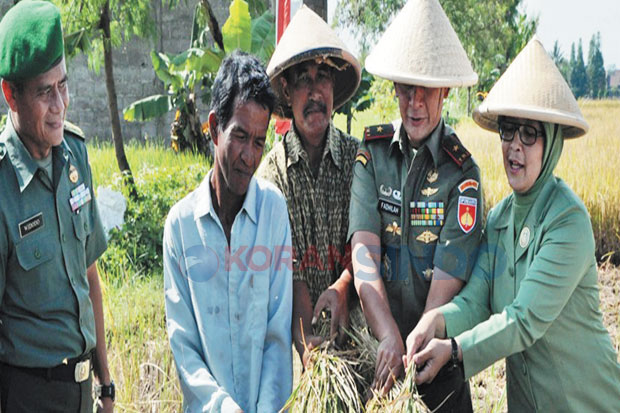 Lahan 1 Hektare Korem...
