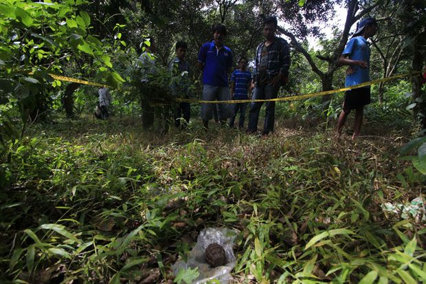 Dikira Batu Mulia, Petani...