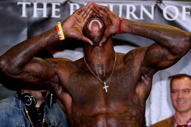 Hadapi Stiverne, Wilder...