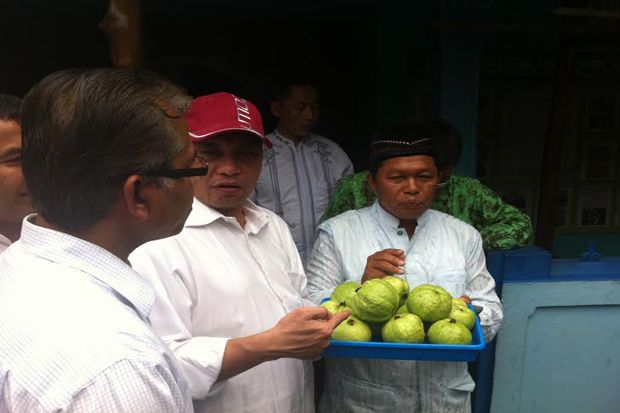 Pembantu Jokowi Ini...
