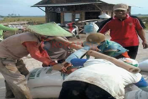 Harga Jual Gabah Mulai...