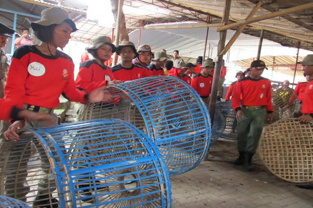 Satpol PP Acak-acak...