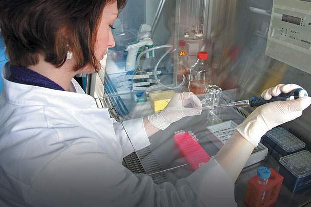 Stem Cell Sembuhkan...