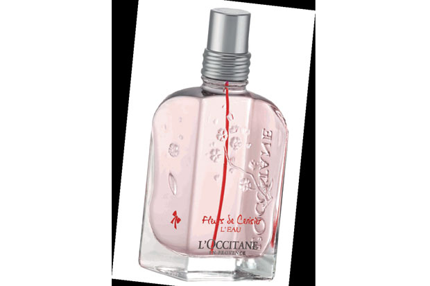 Terinspirasi Bunga Cherry