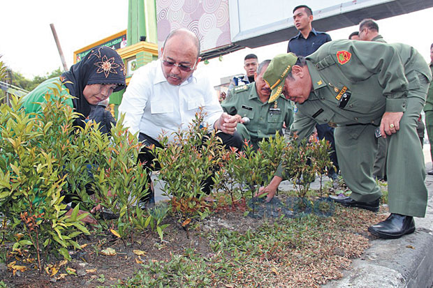 Eldin Ikut Cabut Rumput,...